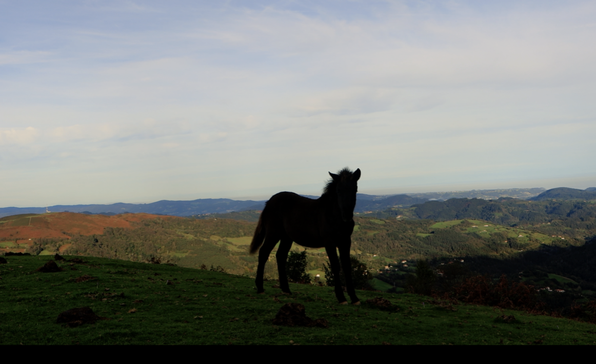 Placeholder Image 1